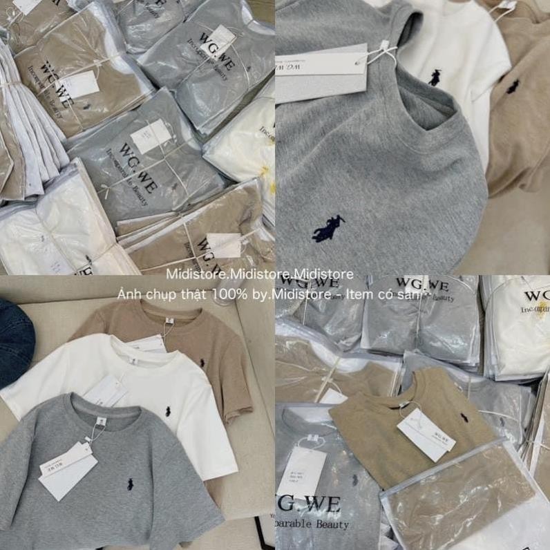 Áo Phông Unisex In Hình Ngựa , Áo Thun Nam Nữ In Con Ngựa Hottrend Mùa Hè T03 | BigBuy360 - bigbuy360.vn