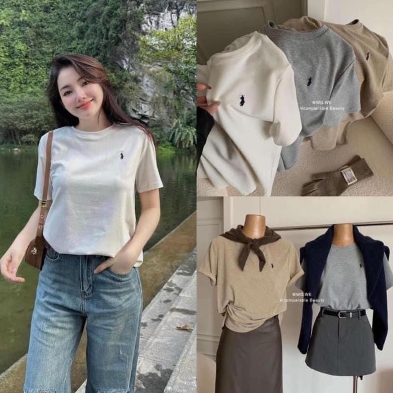 Áo Phông Unisex In Hình Ngựa , Áo Thun Nam Nữ In Con Ngựa Hottrend Mùa Hè T03 | BigBuy360 - bigbuy360.vn