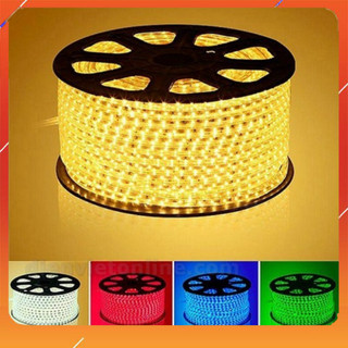 Combo bộ 5 mét ,10 mét dây đèn led 2 hàng bóng đã có nguồn