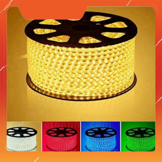 Combo 10 mét, 15 mét , 20 mét đèn led dây 2835 hai hàng bóng tặng dây nguồn