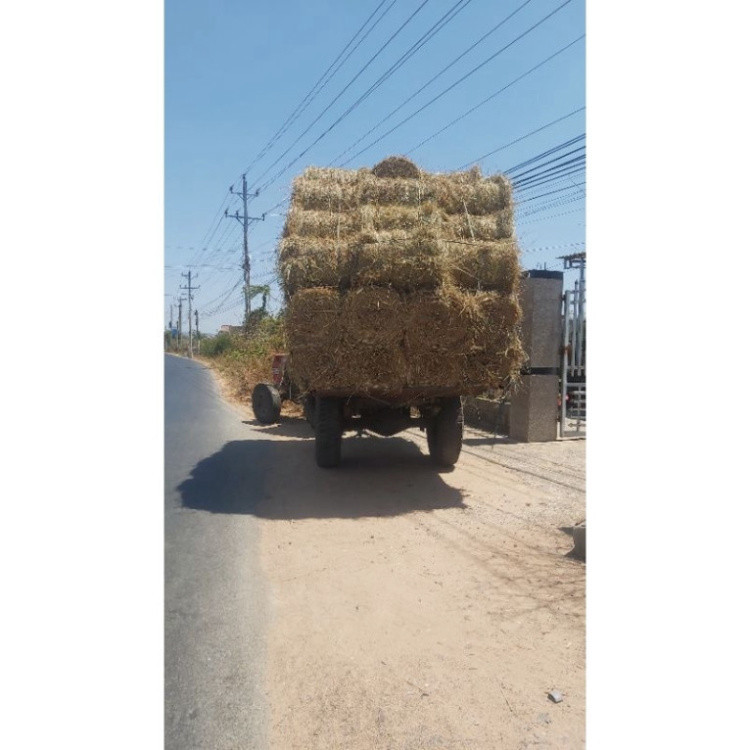 Rơm cuộn mini. loại 1