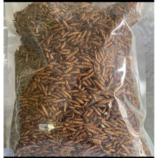 Sâu canxi sấy khô 500g