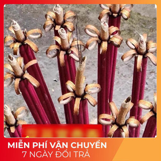 TÚI NHANG THƠM NỞ HOA PHÚ QUÝ