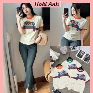 Áo Phông Nữ GUCi GC Cây Dừa cộc Tay Phối Màu Viền Cổ Áo Thun Nữ Co Giãn 4 chiều  Mặt Mịn Freesize