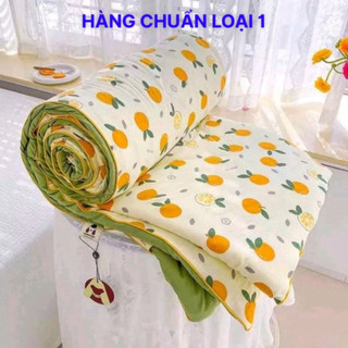 Chuân loại 1. Chăn hè cotton đũi chần bông 2mx2m3|C005