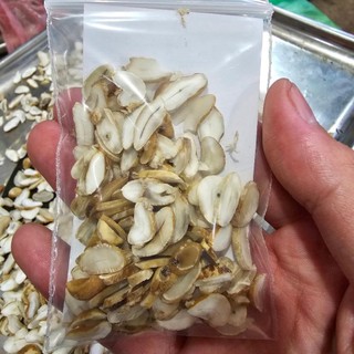 Hạt Sang T.R.I Dạ Dày, Đại Tràng (Túi 10gram gồm 10 Hạt Thái Sẵn) - Đặc Sản 27