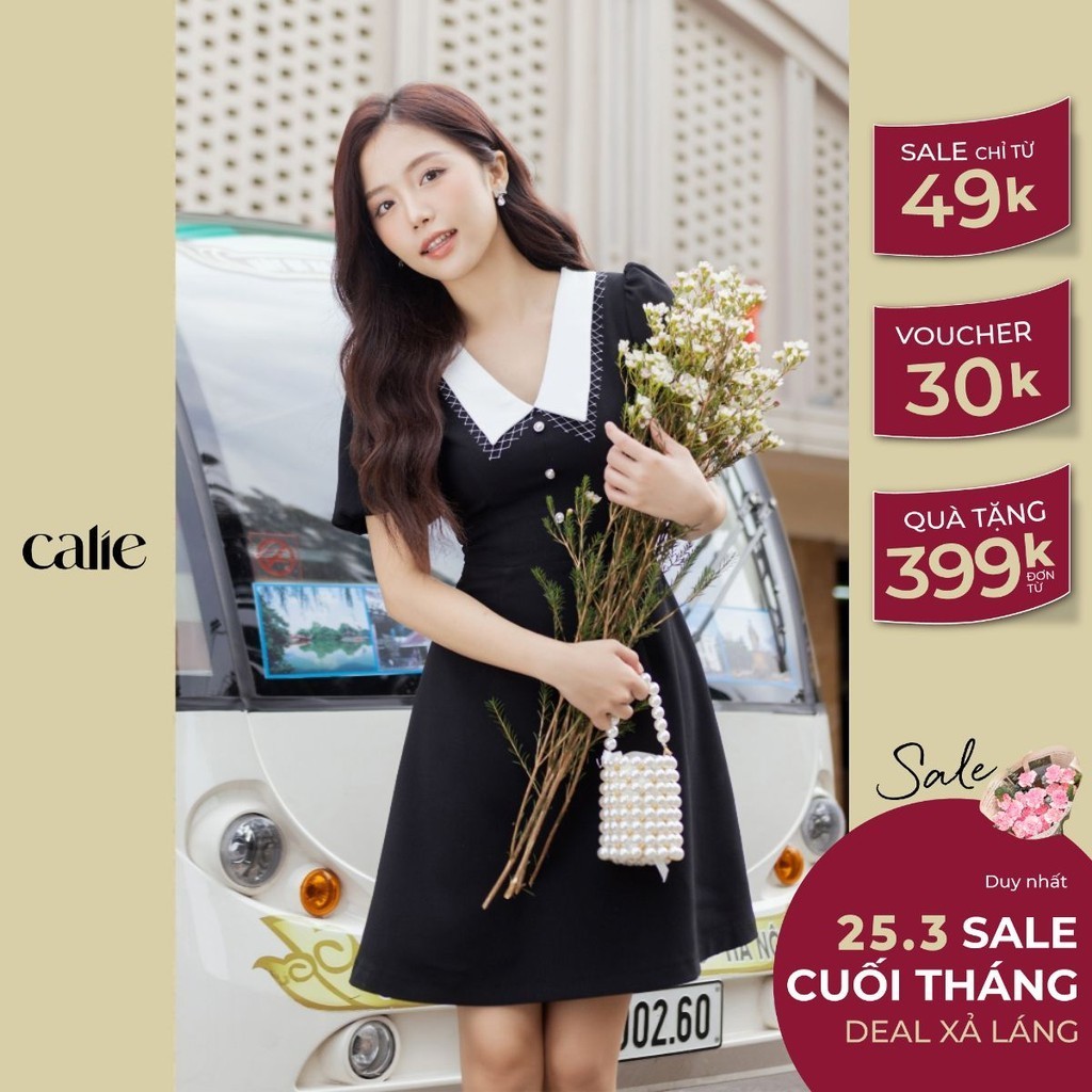 Váy nữ dáng A cổ phối lưới trắng đính khuy đá CALIE VA257
