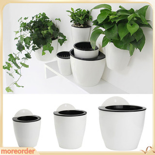 (MORE) Chậu hoa hút nước treo tường sáng tạo