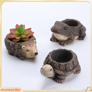 Chậu trồng cây hình ếch / rùa hoạt hình sáng tạo