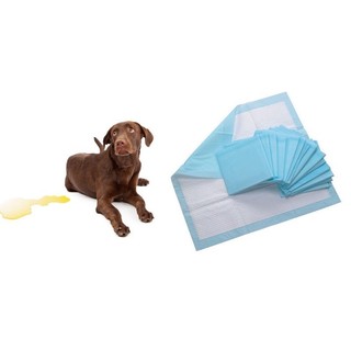 Thảm huấn luyện chó, puppy training pads - uncle bills
