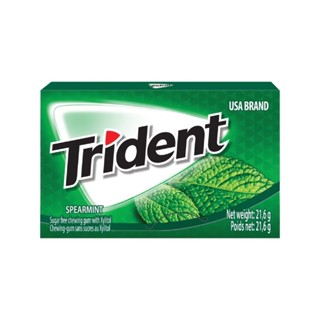 (ShipHỏaTốc) TRIDENT - Kẹo Cao Su Không Đường Vị Bạc Hà, Sugar Free Chewing Gum with Xylitol, Spearmint (21.6g)