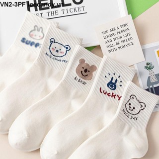 🍯icecandy Tất cao cổ vớ cao cổ vải cotton hình con gấu,tất nữ cute,tất cổ cao nữ
