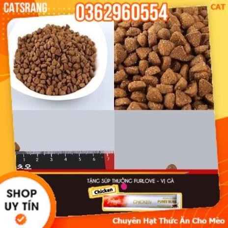 Hạt cho mèo | Túi 1kg Hạt Cat's On thức ăn cho mèo (Hàn Quốc)| Caton hạt cho mèo| Cat on