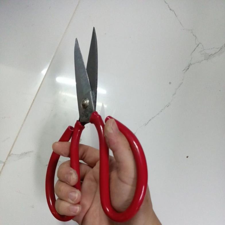 kéo làm cá, cắt gà cán đỏ