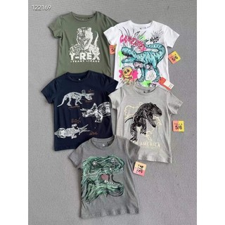 Áo thun cotton cộc tay cho bé trai chính hãng Next &Co khủng long size 2-12 tuổi