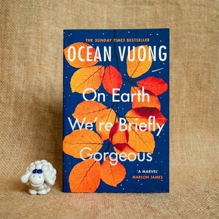 On Earth We're Briefly Gorgeous [UK]