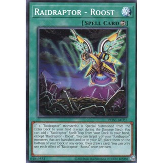 Phni-ae057 raidraptor - roost - common