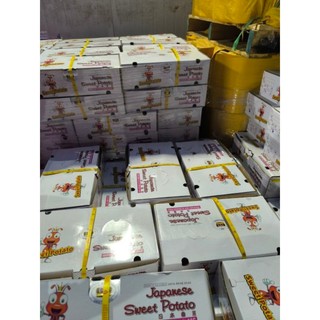 ( JENNY FRUIT ) COMBO 2KG KHOAI LANG NHẬT