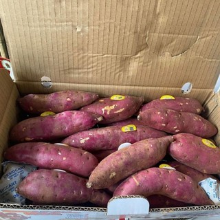 ( JENNY FRUIT ) COMBO 2KG KHOAI LANG NHẬT
