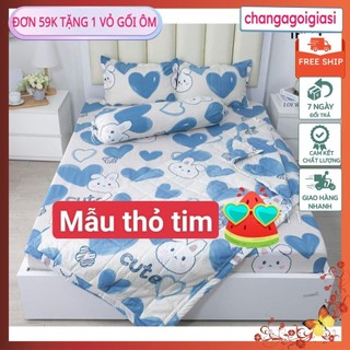 Bộ ga gối poly 1m2x2m,1m5x2m,1m6x2m phong lan xanh