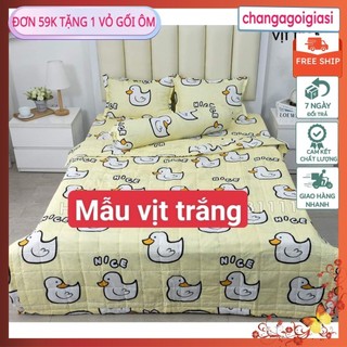 mvdv Bộ ga gối 1m2x2m,1m5x2m,1m6x2m poly tam giác nền xanh