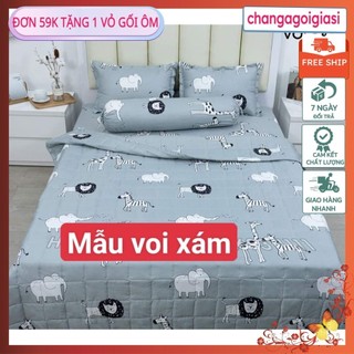 mvdv Bộ ga gối POLLY M2/M6/M8 Hoa hồng anh,nhiều mẫu mới