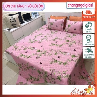 [Free ship-Giá rẻ nhất]Bộ chăn hè ga gối poly 1m6 hoa lá bướm nền hồng SET 4 MÓN