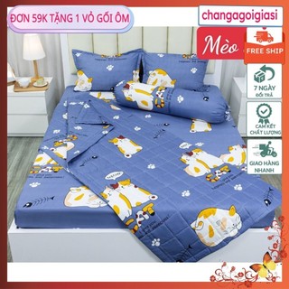 Bộ ga gối 1MX2M,1M2X2M mèo thần tài