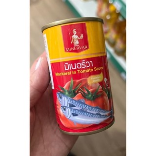 CÁ SỐT CÀ THÁI LAN