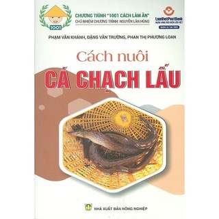 Sách-cách nuôi cá chạch lấu