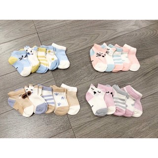 Set 5 đôi tất vớ lưới hình thú cổ thấp cho bé