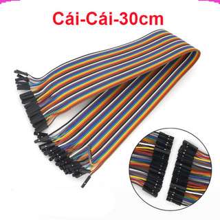 Dây bus 2.54 đủ màu 10 - 40cm ( 40 sợi 1 bus)