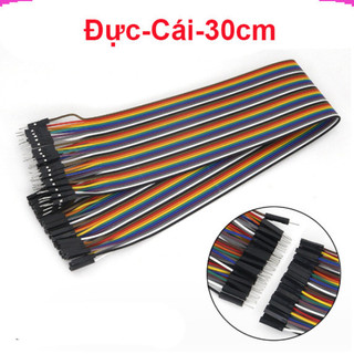 Dây bus 2.54 đủ màu 10 - 40cm ( 40 sợi 1 bus)