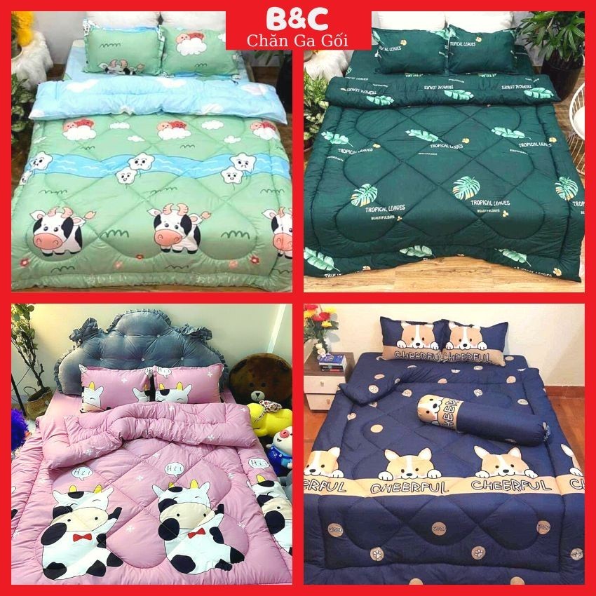 Set chăn phao trần bông dày dặn cao cấp