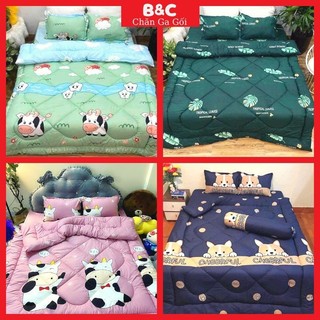 Set chăn phao trần bông dày dặn cao cấp