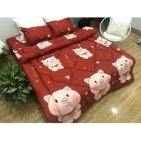Set chăn phao trần bông dày dặn cao cấp