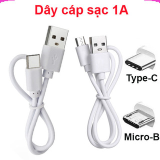 Dây cáp sạc USB màu trắng Micro/ type C - Chỉ sạc hoặc sạc + truyền dữ liệu ||