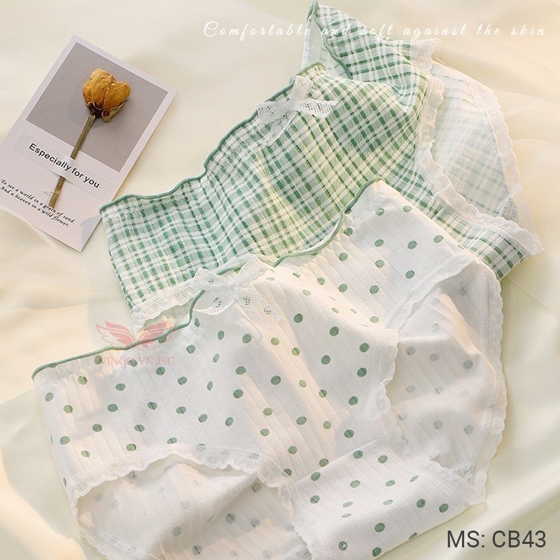 Combo 5 quần lót nữ cotton thiên nhiên co giãn 4 chiều VINGO đáy 2 lớp cotton tinh khiết kháng khuẩn an toàn CB43 VNGO