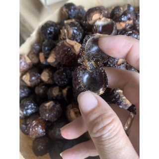 (Thảo mộc thiên nhiên) 1kg Bồ Hòn Tách Hạt (vụ mới loại nhiều mật)