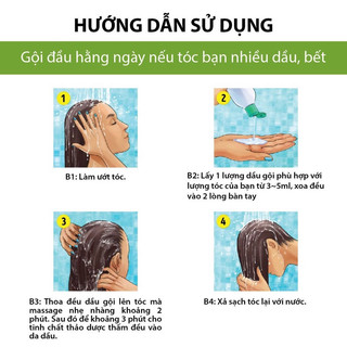 (Thảo mộc thiên nhiên) Dầu Gội Thảo Dược Hoa Đà