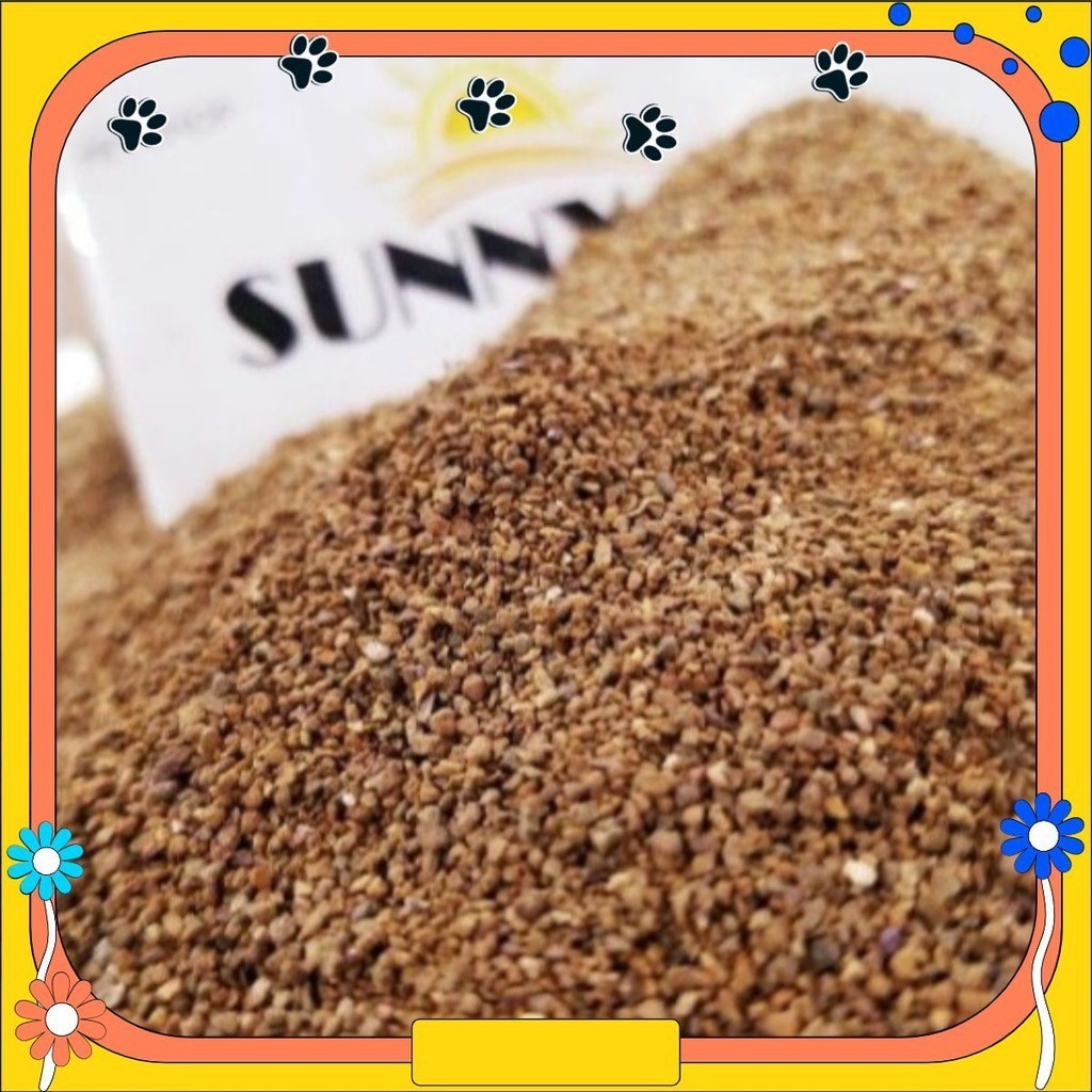 Cát  Buddy Ấn 1kg ( Hỏa Tốc Vũng Tàu )