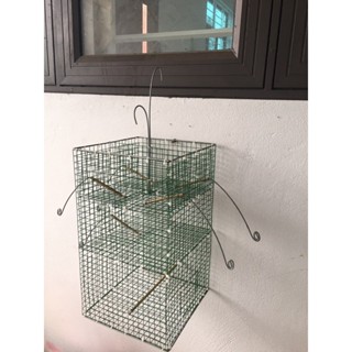  lồng bẫy chim khuyên tự động 