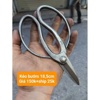 Kéo Nhật bãi