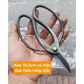Kéo Nhật bãi