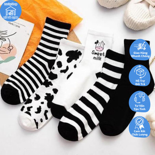 Set 5 Đôi Tất bò sữa, tất Hàn Quốc cổ cao vintage nữ cực đẹp
