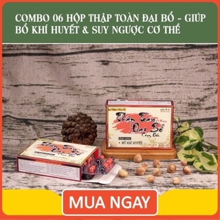 Combo 6 hộp Thập toàn Đại bổ Công Đức - Bổ Khí Huyết (Cơ thể suy nhược, thiếu máu, kém ăn...)