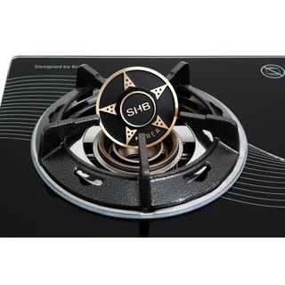 Bếp ga đôi Apex APB0816