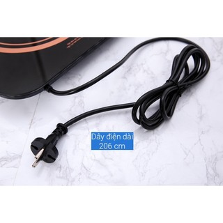 Bếp từ Midea MI-T2121DB