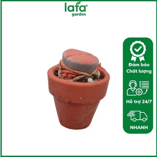 Chậu đất nung mini trồng cây sen đá bonsai