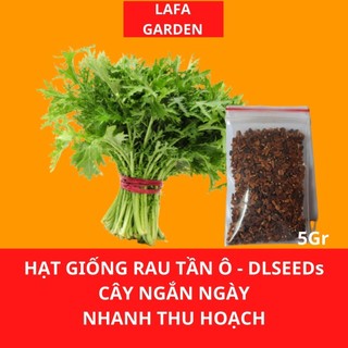 Hạt giống rau ăn lá DLSeeds gói từ 1G đến 5G  tập hợp các loại hạt giống rau ăn lá dễ trồng nhanh thu hoạch